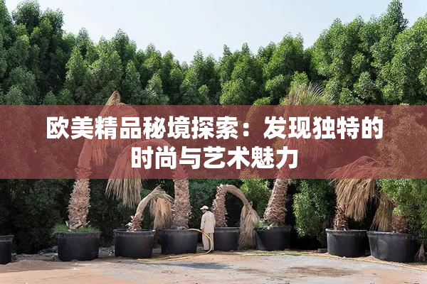 欧美精品秘境探索：发现独特的时尚与艺术魅力