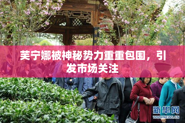 芙宁娜被神秘势力重重包围，引发市场关注