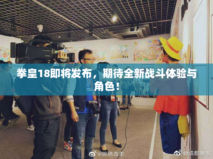 拳皇18即将发布，期待全新战斗体验与角色！