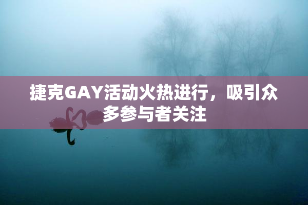 捷克GAY活动火热进行，吸引众多参与者关注
