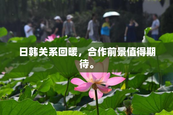 日韩关系回暖，合作前景值得期待。
