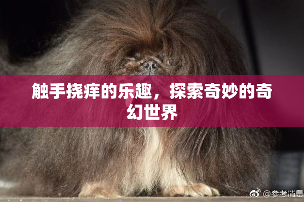 触手挠痒的乐趣，探索奇妙的奇幻世界