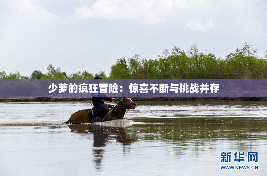 少萝的疯狂冒险：惊喜不断与挑战并存