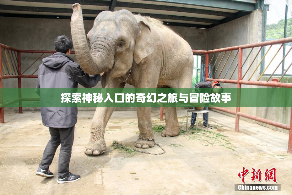探索神秘入口的奇幻之旅与冒险故事