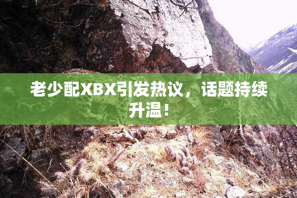 老少配XBX引发热议，话题持续升温！