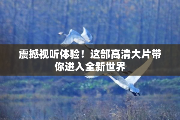 震撼视听体验！这部高清大片带你进入全新世界