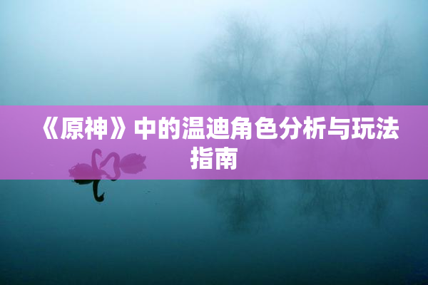 《原神》中的温迪角色分析与玩法指南