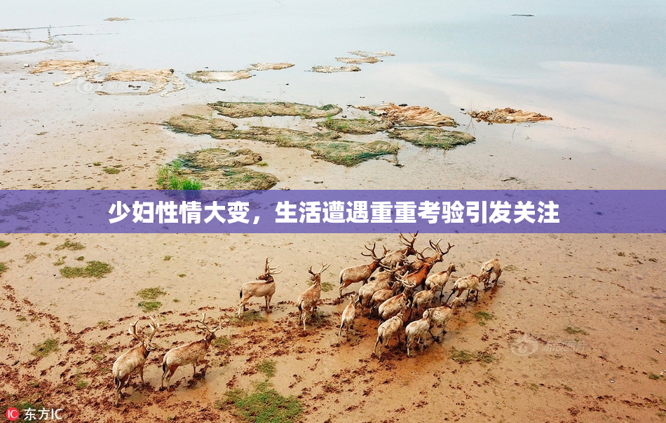 少妇性情大变，生活遭遇重重考验引发关注