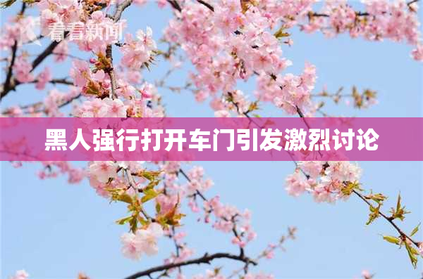黑人强行打开车门引发激烈讨论