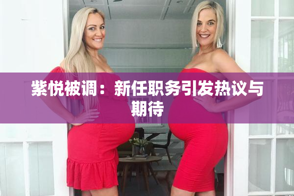 紫悦被调：新任职务引发热议与期待