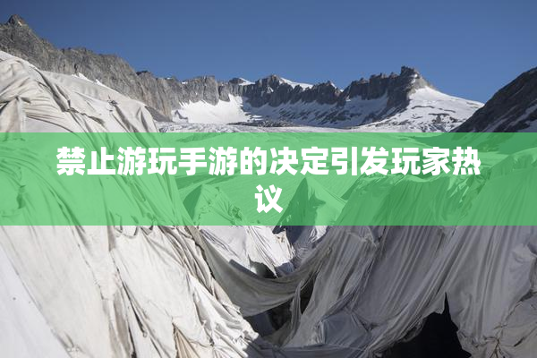 禁止游玩手游的决定引发玩家热议