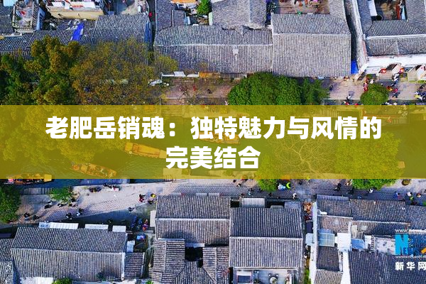 老肥岳销魂：独特魅力与风情的完美结合