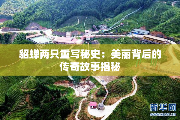 貂蝉两只重写秘史：美丽背后的传奇故事揭秘