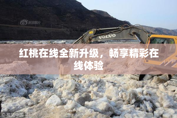 红桃在线全新升级，畅享精彩在线体验