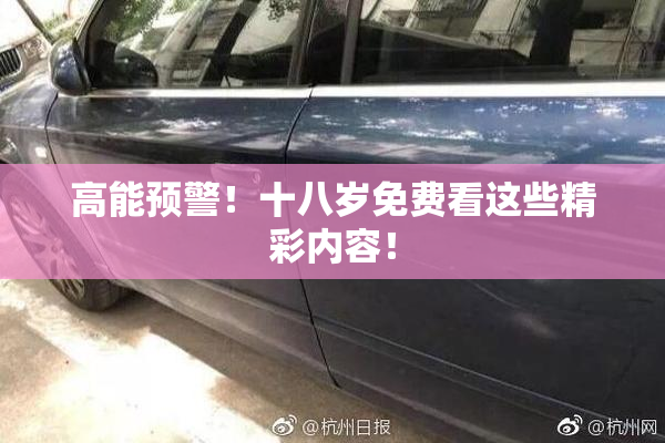 高能预警！十八岁免费看这些精彩内容！
