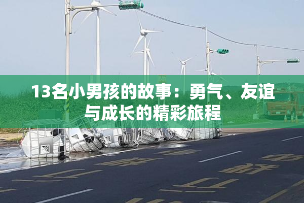13名小男孩的故事：勇气、友谊与成长的精彩旅程
