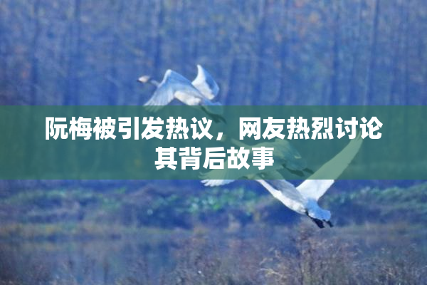 阮梅被引发热议，网友热烈讨论其背后故事