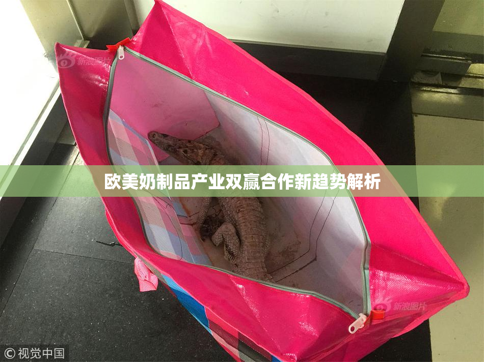 欧美奶制品产业双赢合作新趋势解析
