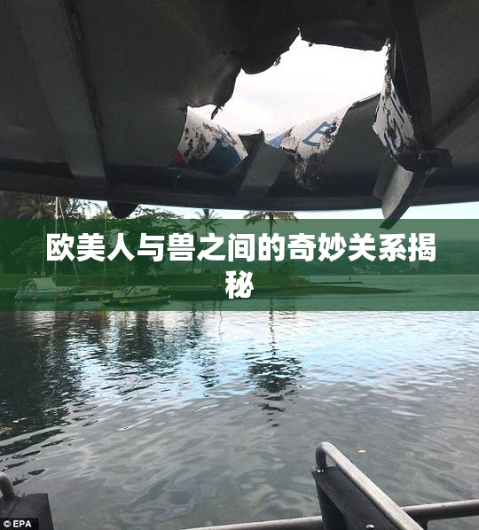 欧美人与兽之间的奇妙关系揭秘
