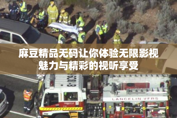 麻豆精品无码让你体验无限影视魅力与精彩的视听享受