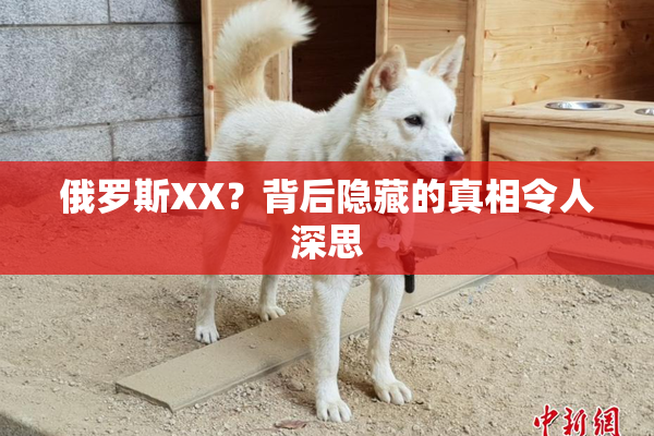 俄罗斯XX？背后隐藏的真相令人深思