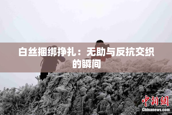 白丝捆绑挣扎：无助与反抗交织的瞬间
