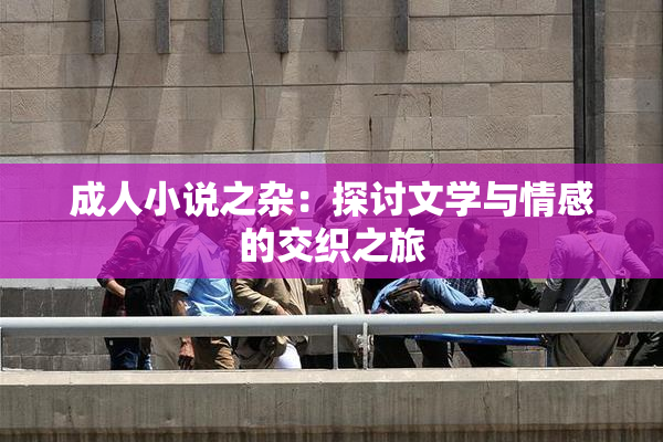 成人小说之杂：探讨文学与情感的交织之旅
