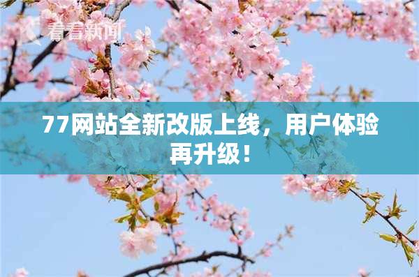77网站全新改版上线，用户体验再升级！