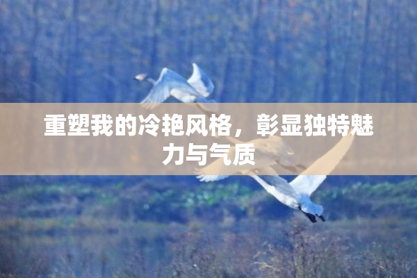 重塑我的冷艳风格，彰显独特魅力与气质