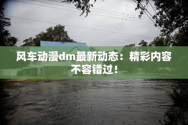 风车动漫dm最新动态：精彩内容不容错过！