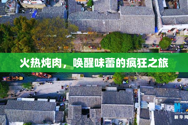 火热炖肉，唤醒味蕾的疯狂之旅