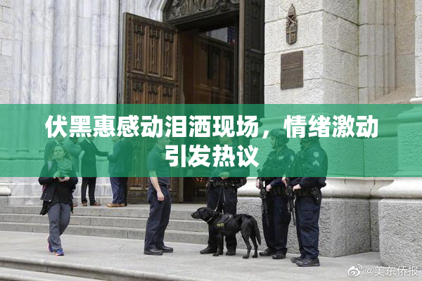 伏黑惠感动泪洒现场，情绪激动引发热议