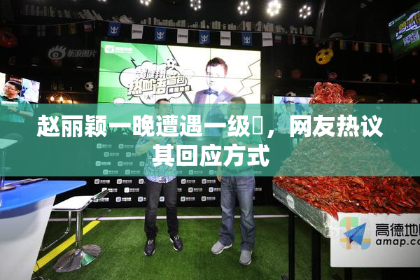 赵丽颖一晚遭遇一级婬，网友热议其回应方式
