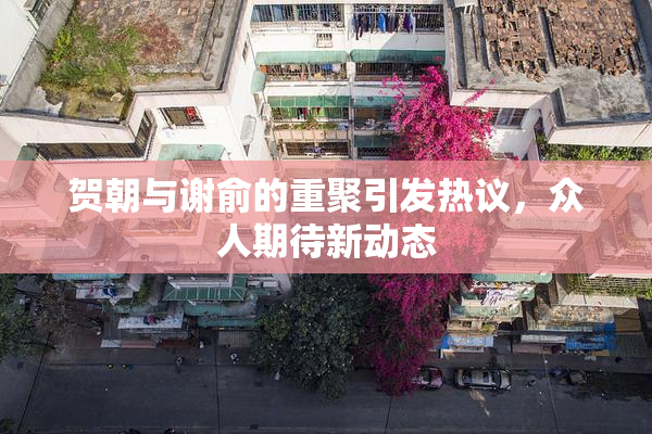 贺朝与谢俞的重聚引发热议，众人期待新动态
