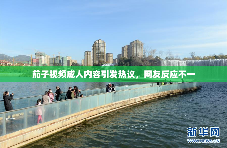 茄子视频成人内容引发热议，网友反应不一