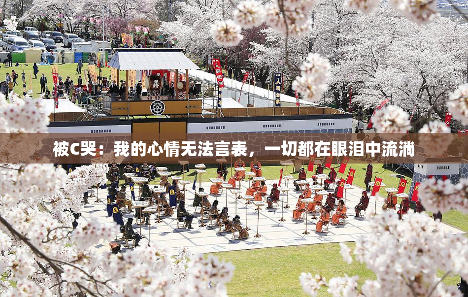 被C哭：我的心情无法言表，一切都在眼泪中流淌