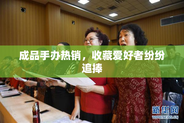 成品手办热销，收藏爱好者纷纷追捧