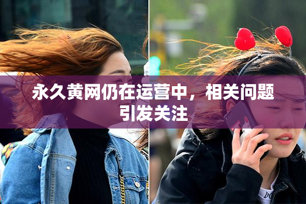永久黄网仍在运营中，相关问题引发关注