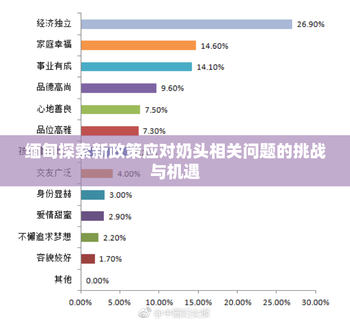 缅甸探索新政策应对奶头相关问题的挑战与机遇