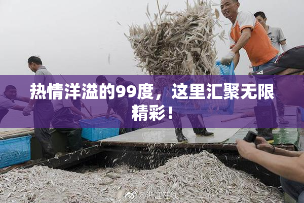 热情洋溢的99度，这里汇聚无限精彩！
