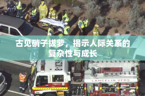 古见硝子拔萝，揭示人际关系的复杂性与成长