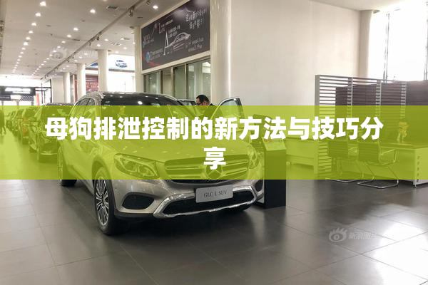 母狗排泄控制的新方法与技巧分享