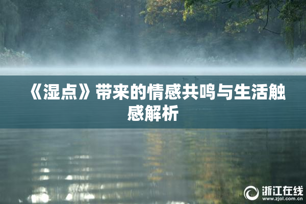 《湿点》带来的情感共鸣与生活触感解析