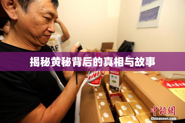 揭秘黄秘背后的真相与故事
