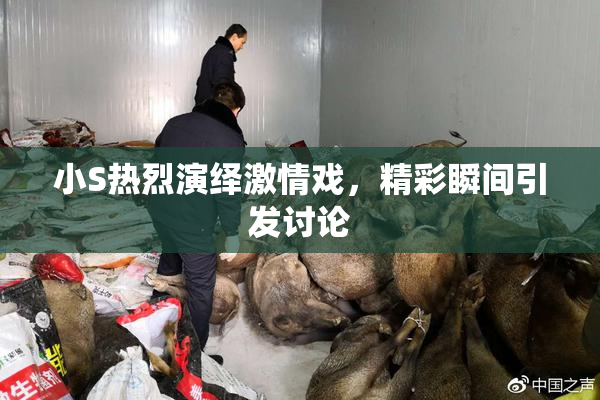 小S热烈演绎激情戏，精彩瞬间引发讨论