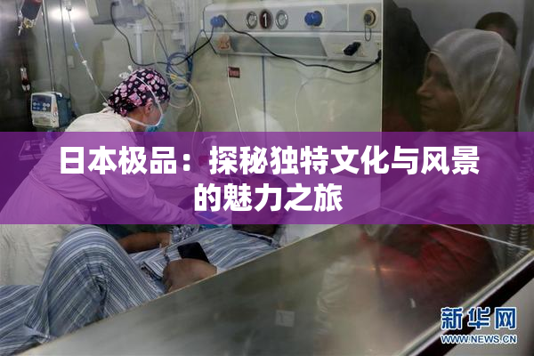 日本极品：探秘独特文化与风景的魅力之旅