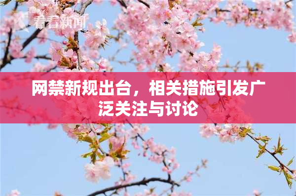 网禁新规出台，相关措施引发广泛关注与讨论
