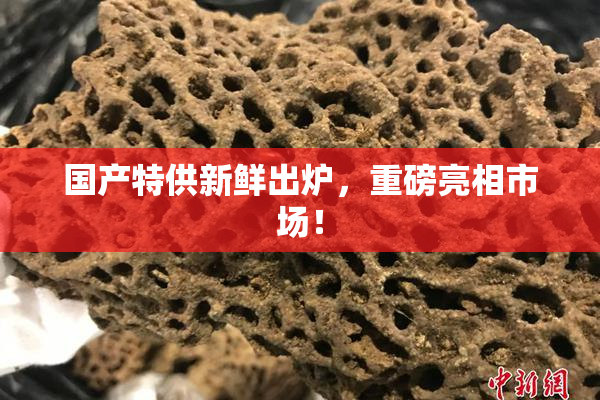 国产特供新鲜出炉，重磅亮相市场！