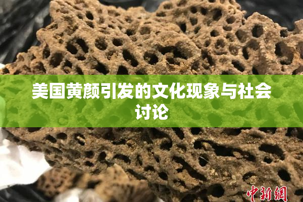 美国黄颜引发的文化现象与社会讨论