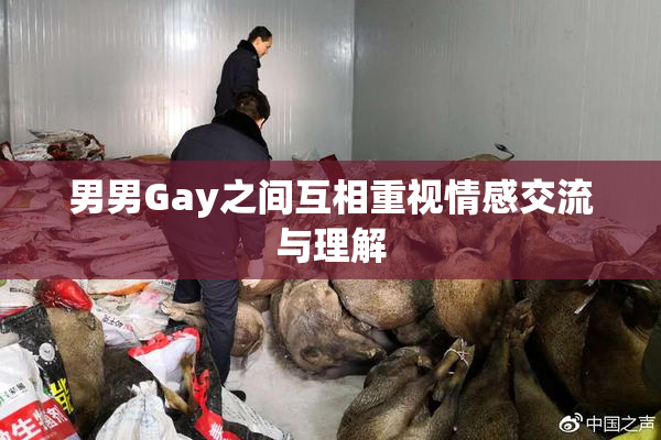 男男Gay之间互相重视情感交流与理解